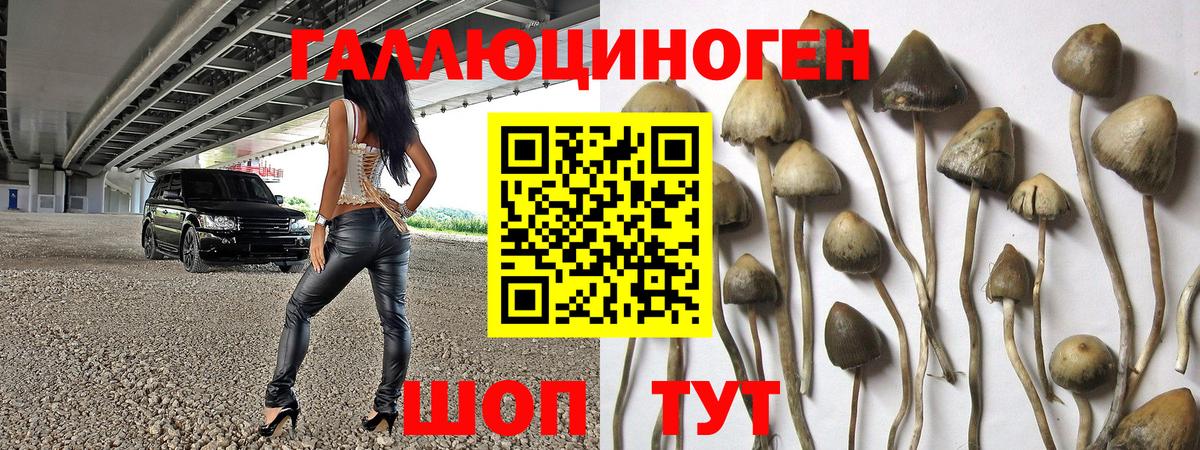 Галлюциногенные грибы GOLDEN TEACHER Барабинск