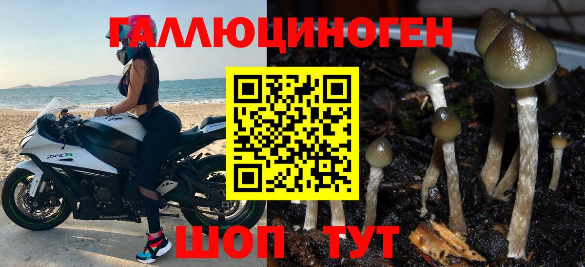 Галлюциногенные грибы мухоморы  Вход с VPN  Барабинск 